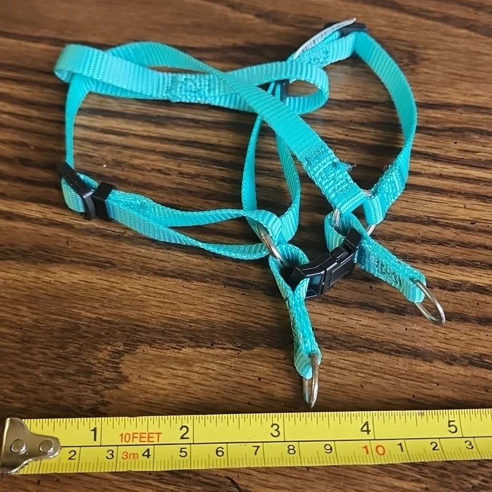 Cat Harness